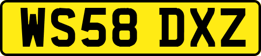 WS58DXZ