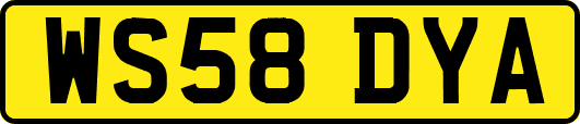 WS58DYA