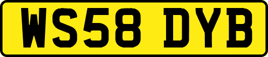 WS58DYB