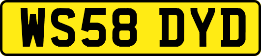 WS58DYD