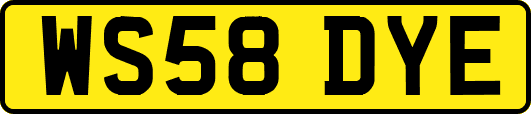 WS58DYE