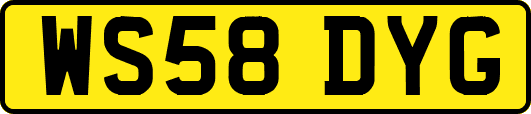 WS58DYG
