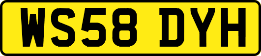 WS58DYH