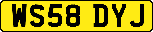 WS58DYJ