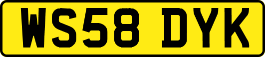 WS58DYK