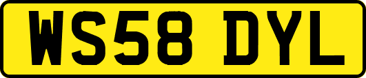 WS58DYL