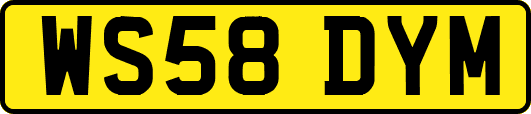 WS58DYM