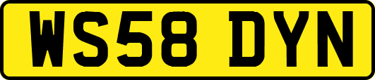 WS58DYN