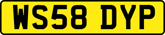 WS58DYP