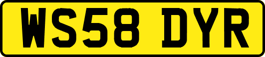 WS58DYR