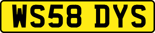WS58DYS