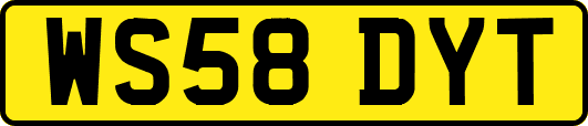 WS58DYT