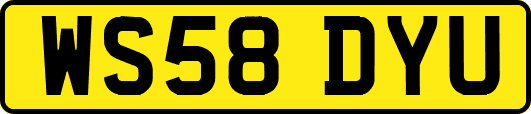 WS58DYU