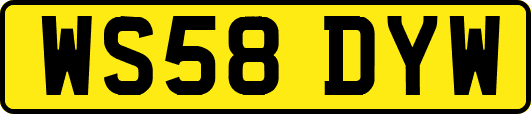 WS58DYW
