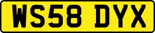 WS58DYX