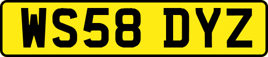 WS58DYZ
