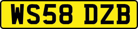 WS58DZB