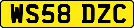 WS58DZC