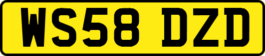 WS58DZD