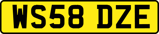 WS58DZE