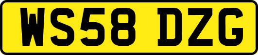 WS58DZG