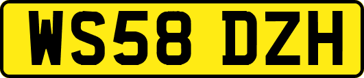 WS58DZH
