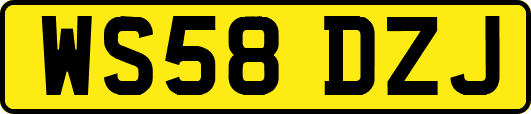 WS58DZJ