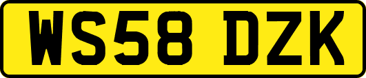WS58DZK