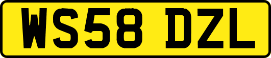 WS58DZL