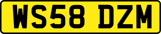 WS58DZM