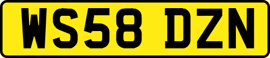 WS58DZN