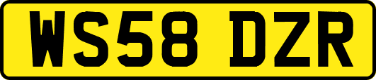 WS58DZR