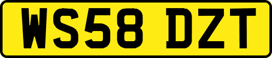 WS58DZT