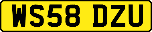 WS58DZU