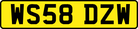 WS58DZW