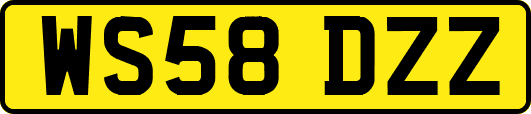 WS58DZZ