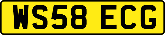 WS58ECG