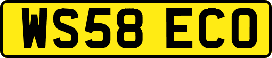 WS58ECO