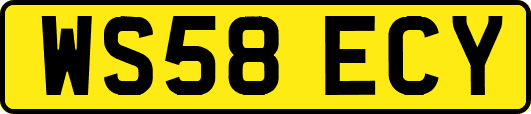 WS58ECY
