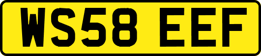 WS58EEF