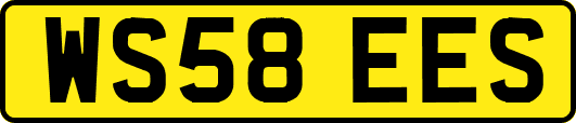 WS58EES