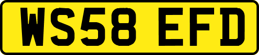 WS58EFD