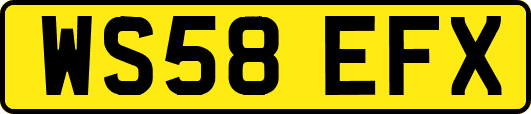 WS58EFX