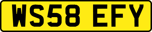 WS58EFY