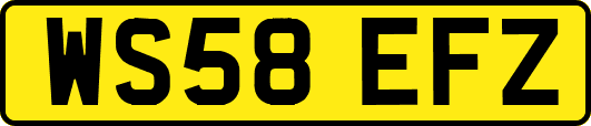 WS58EFZ