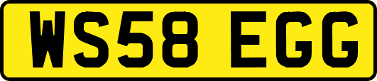 WS58EGG