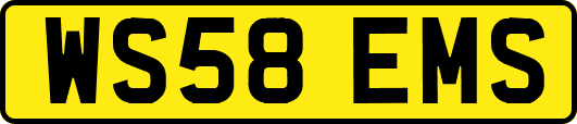 WS58EMS