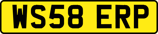 WS58ERP