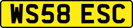 WS58ESC