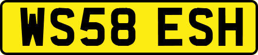 WS58ESH